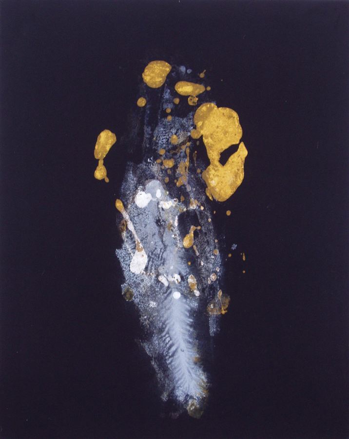Květ, 2011