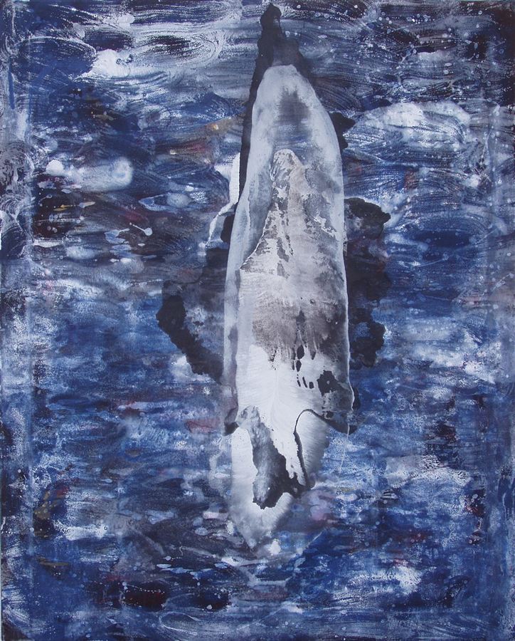 Silueta, 2011-2012